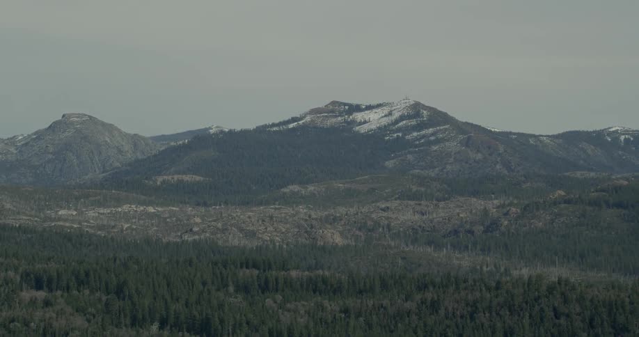 Trees cover the landscape at the foot of a mountain