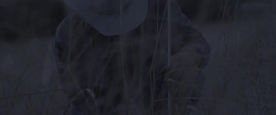 A cowboy mends a fence in a grassy field