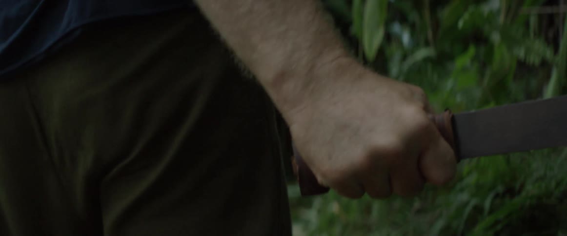 A man with a machete is traveling through a jungle path
