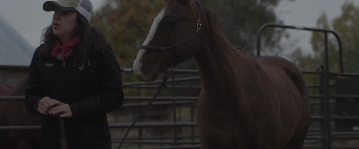 Woman leads a horse on a rope through a barnyard
