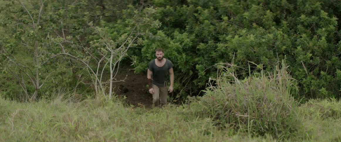 Man walks out of a wooded area into a field of tall grass