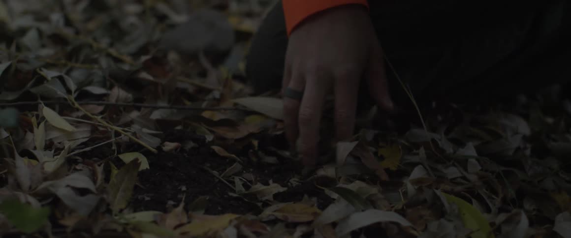 Person  digging through leaves and dirt