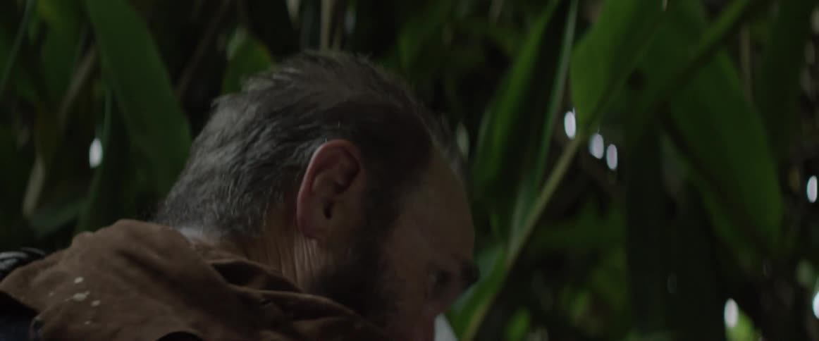 A man swings a wood stick while standing in a jungle