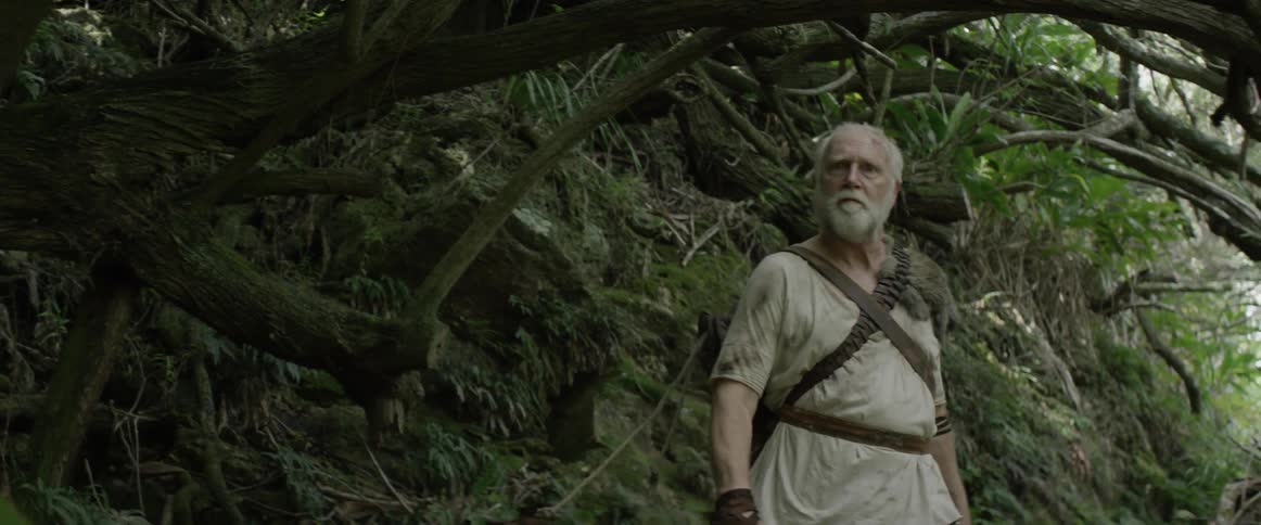 An older man is walking beneath a canopy of branches and roots during the day