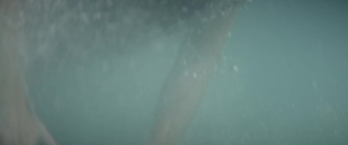 A man dives into the water