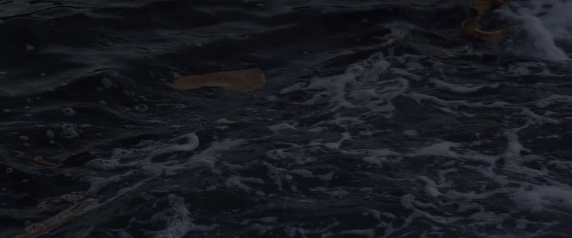Pieces of a broken violin float on top of the water