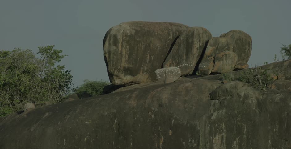 Large rocks sit atop a hill