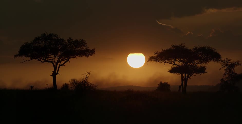 The sun sets on the savanna