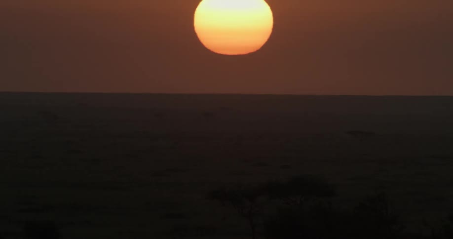 The long dark field has the orange setting sun