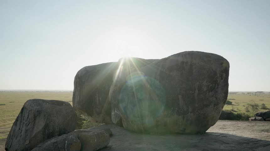 The field has some very large rocks on it