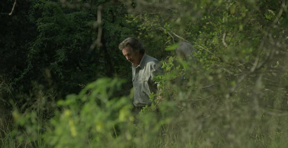 A man and woman walk through thick brush holding hands