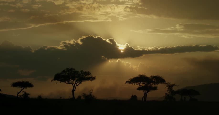 The sun is setting on a savanna dotted with trees