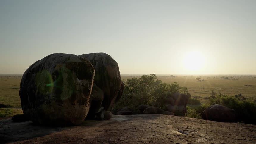 The sun is rising over a barren plain