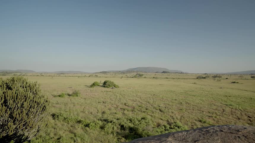 An open expanse is shown on a clear down