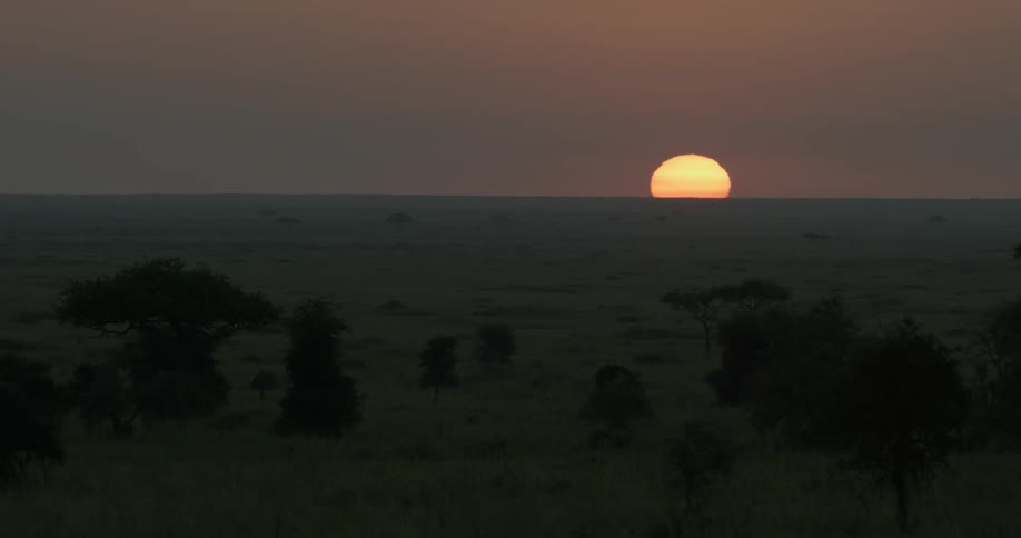 The sun is slowly setting on the horizon