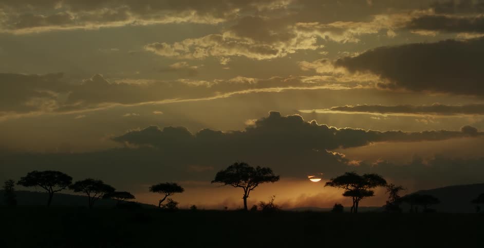 Grassy plains with sparse trees on a cloudy day