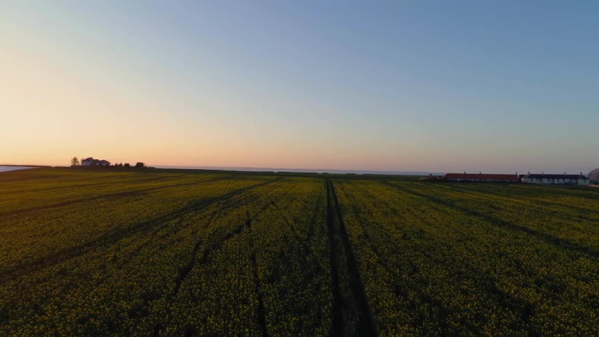 The sun sets over a rural field on a clear day