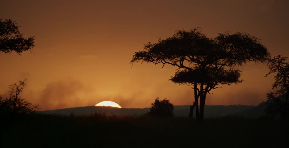 The sun sets as dust carries across a field