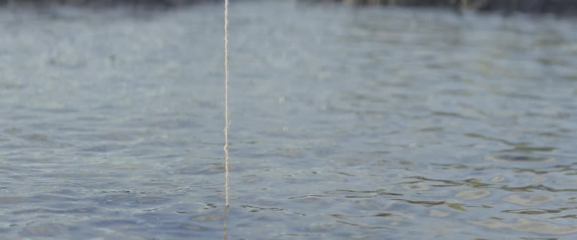 A fishing line drops into a body of water and is pulled out again