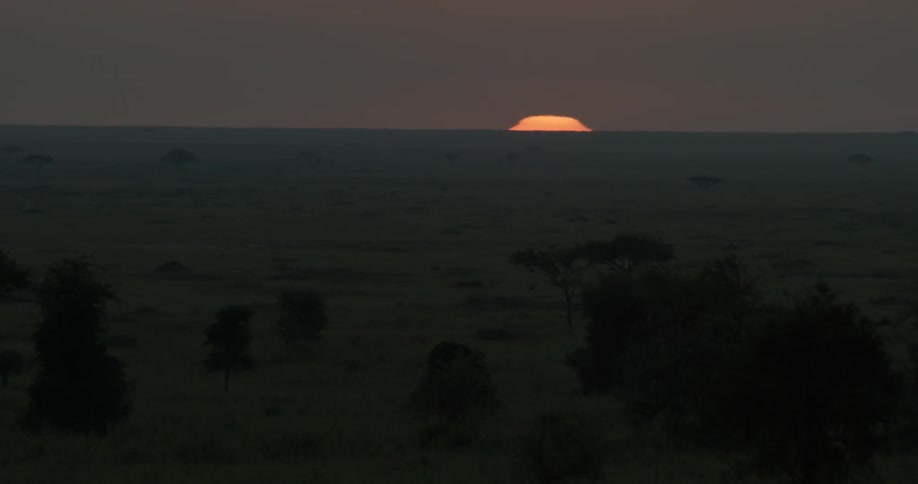 The sun rises in the distance