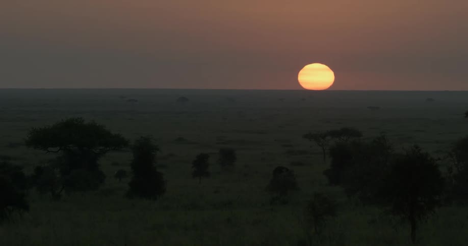 The sun setting over the plains