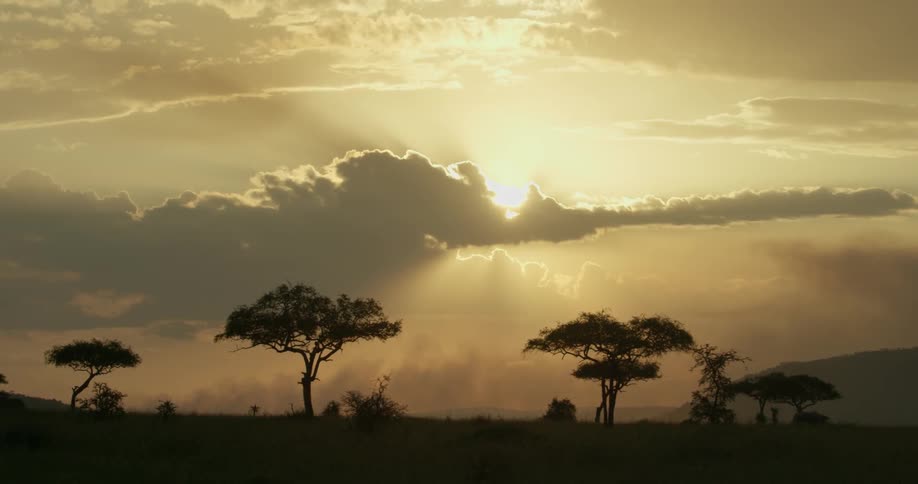 Sun rises over grassy tree covered plains