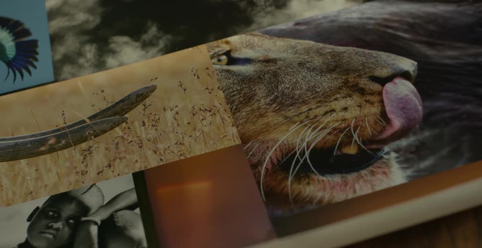 Photographs of people and animals are displayed