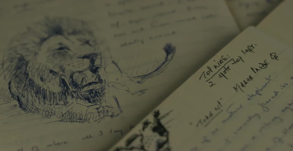 The books are all covered in writings and drawings
