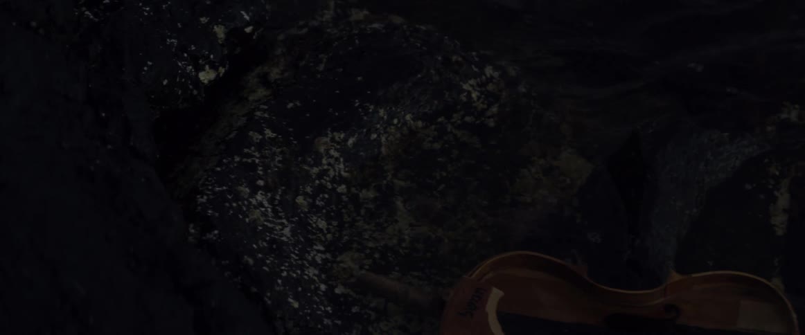 A broken violin floats in a body of water