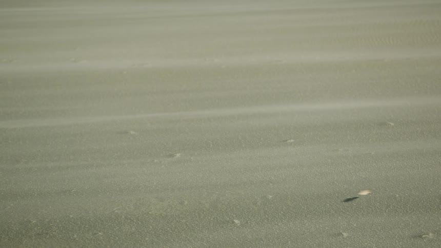 Sand is blowing over the desert