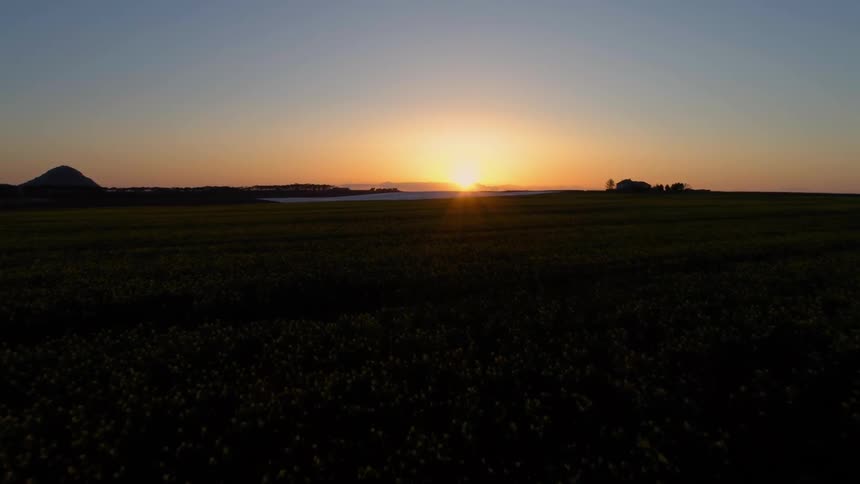 The sun rises on the horizon over a green field