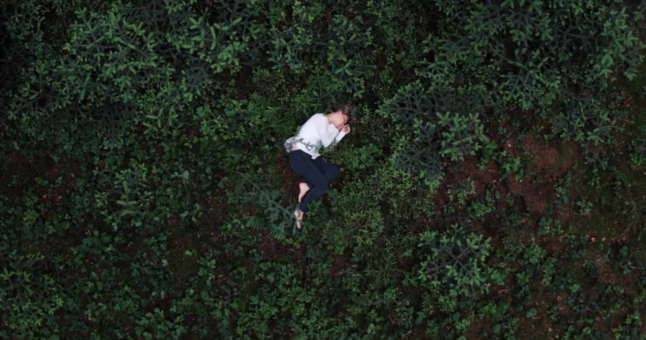 Person sleeping in the middle of bushes