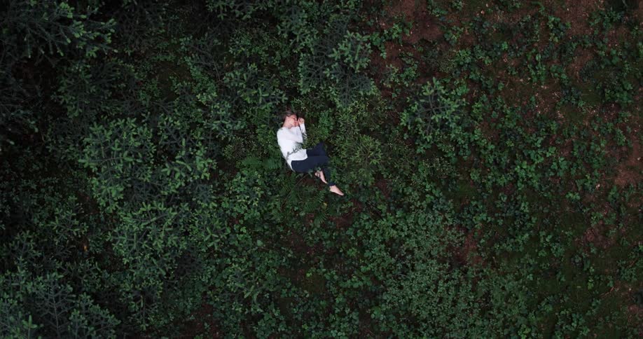 A person is curled up on their side on the forest floor