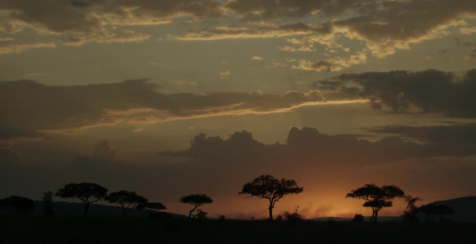 The sun is setting on a savanna dotted with trees