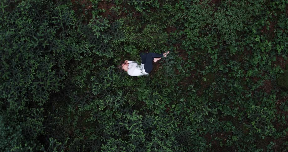 A woman lays in shrubs on a breezy day