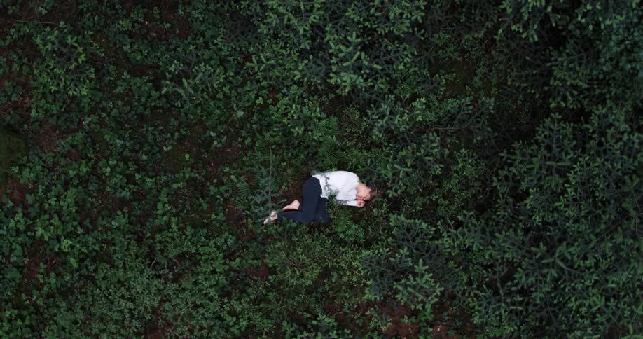 Woman sleeping in the middle of a field with tall vegetation