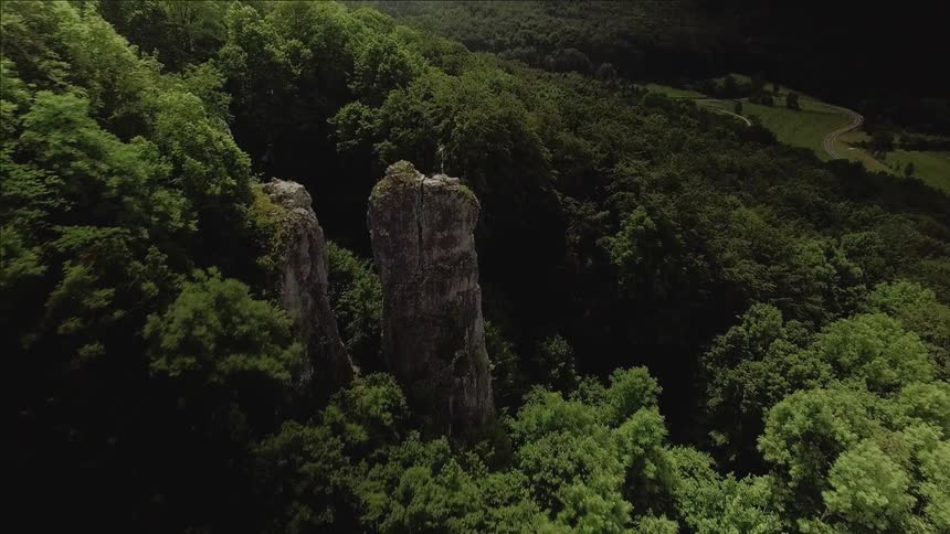 Tall pillars of rock inside a forest