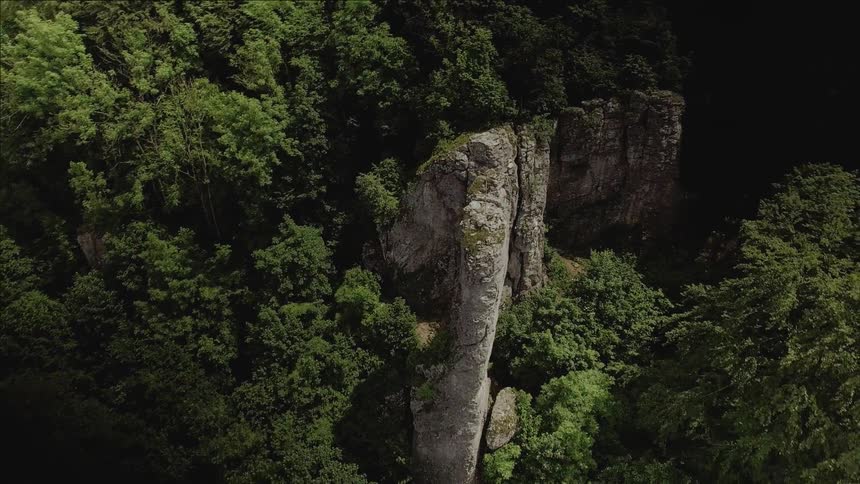 Rock cliffs stand tall in the wilderness