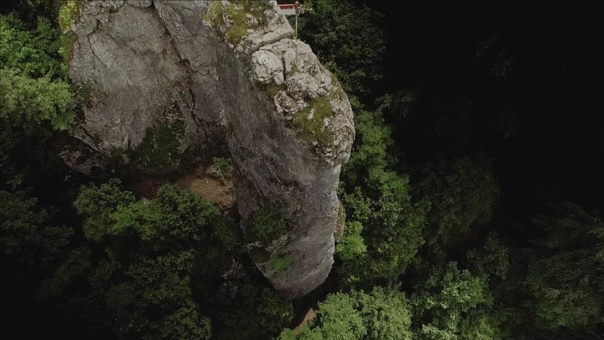 Shrubs and trees grow off of rock mountains