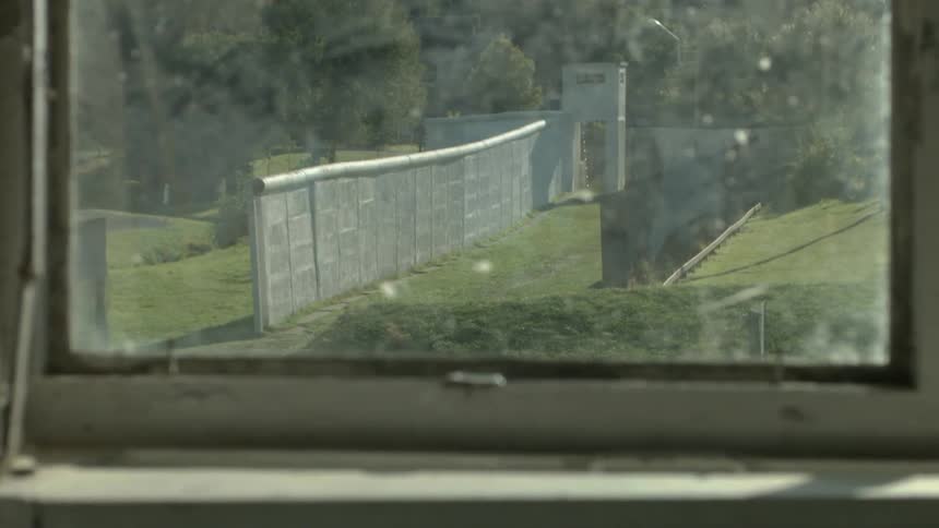 Through the window the yard has green grass