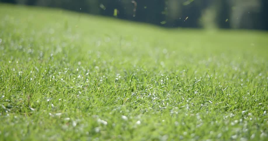 A ball is driven on the golf course