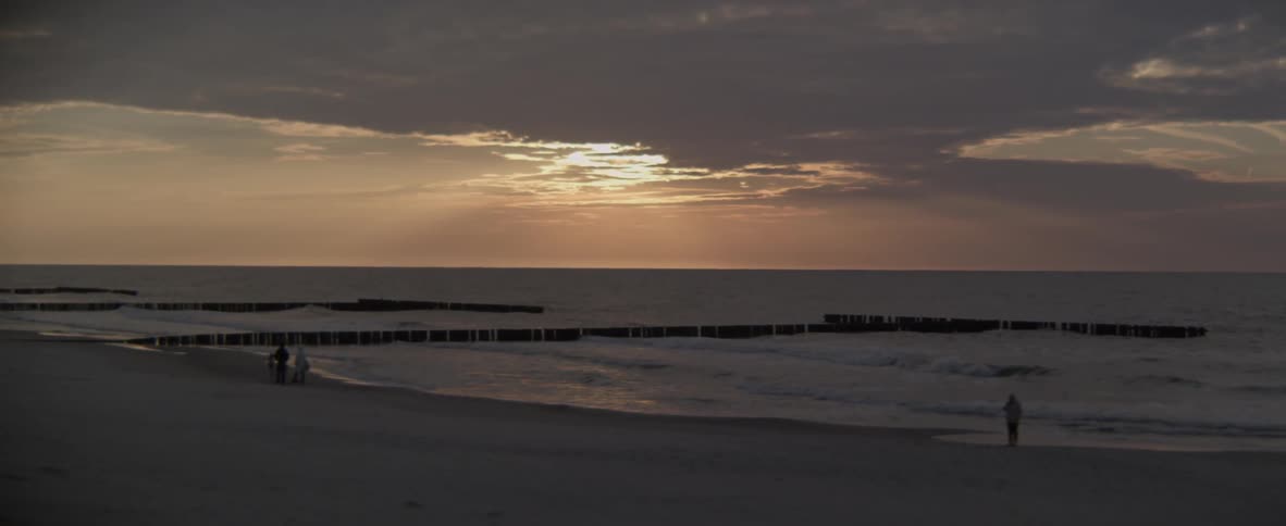 People walk on the beach shore