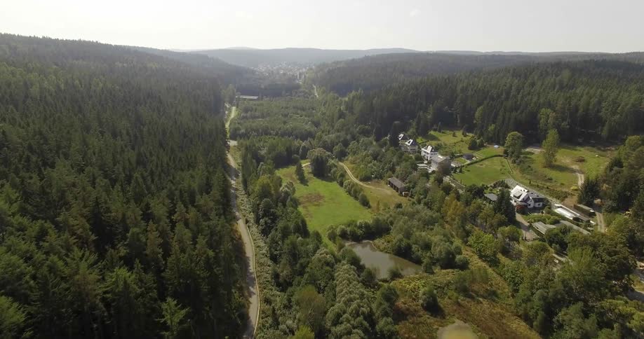 The forest is very dense, and there are some houses on the side