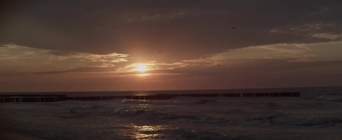 A bird flies over the beach at sunset