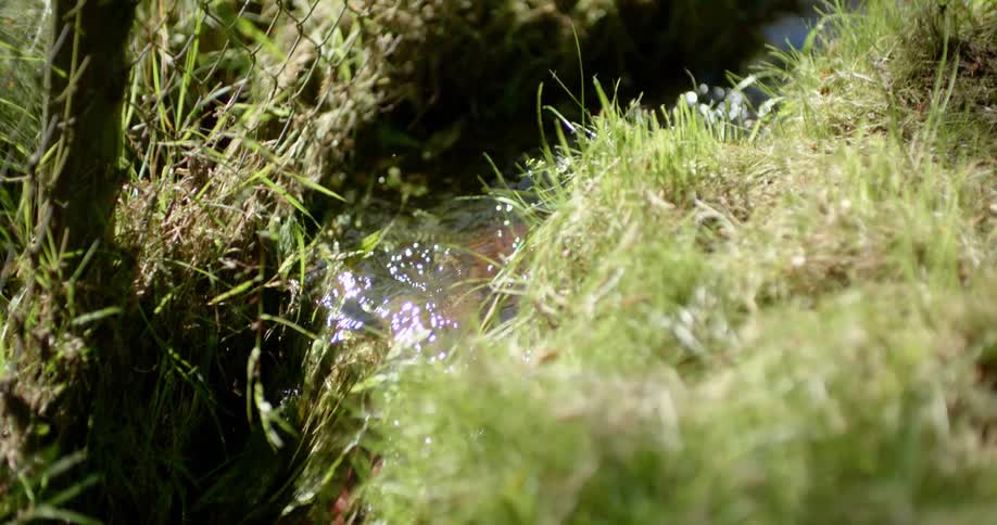 A small brook near a fence