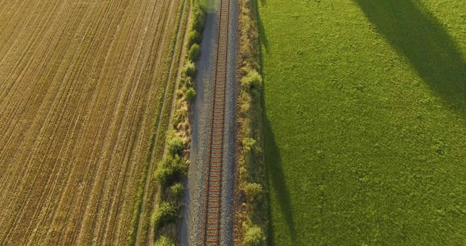 Grass and crops cover the land beside train tracks