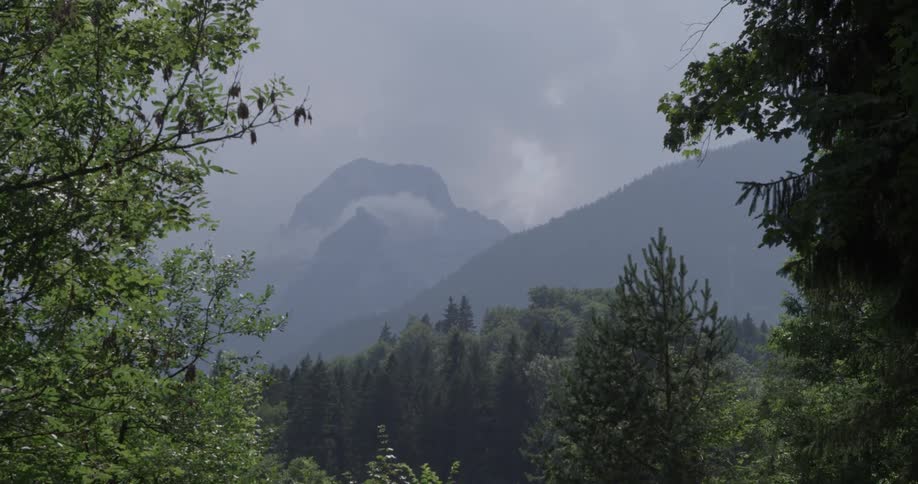 Fog and clouds drift amid mountains beyond a forest during the day
