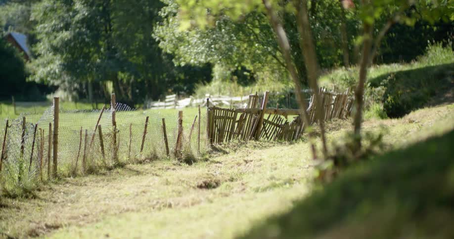 Broken fence sits next to a grassy path