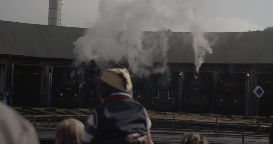 A group of people are gathered watching steam engines