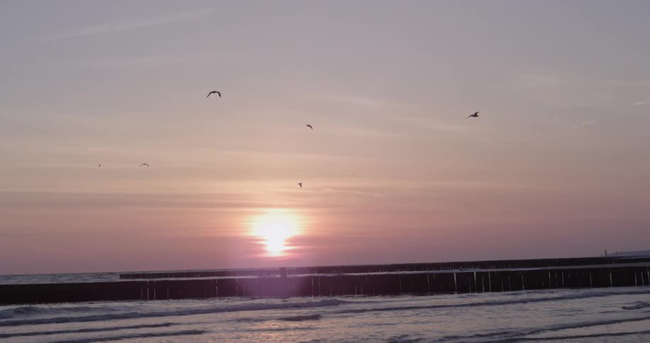 Seagulls fly above the beach